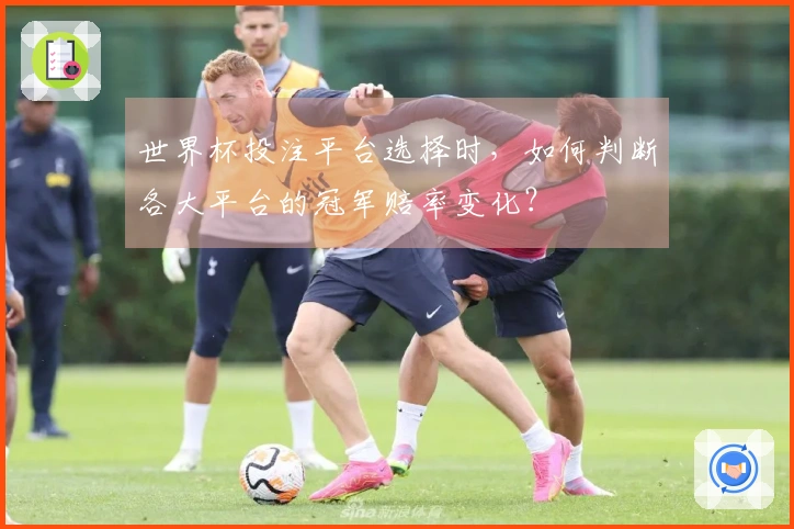 世界杯投注平台选择时，如何判断各大平台的冠军赔率变化？
