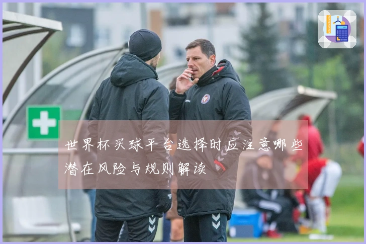 世界杯买球平台选择时应注意哪些潜在风险与规则解读