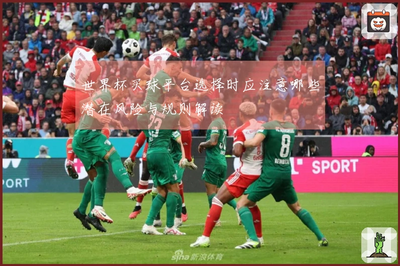 世界杯买球平台选择时应注意哪些潜在风险与规则解读