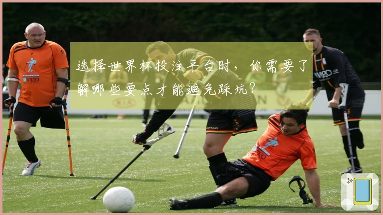 选择世界杯投注平台时，你需要了解哪些要点才能避免踩坑？