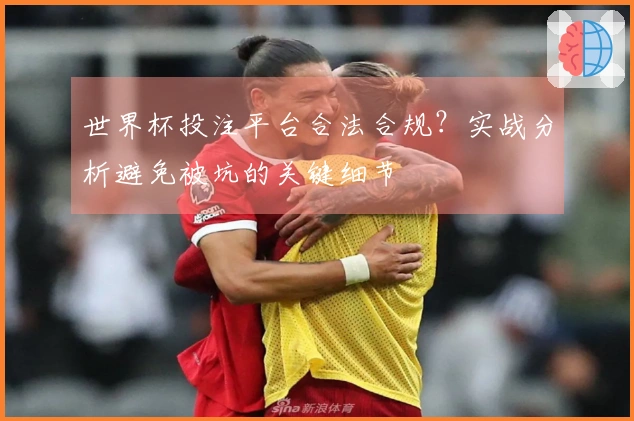 世界杯投注平台合法合规？实战分析避免被坑的关键细节